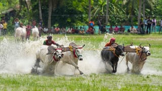 Peechi dam : ശക്തമായ മഴ; പീച്ചി ഡാമിന്റെ ഷട്ടറുകൾ ഉയർത്തും