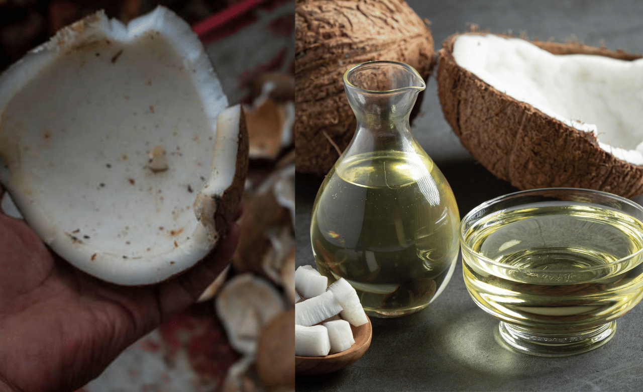 Coconut Oil Price: വെളിച്ചെണ്ണ ലിറ്ററിന് 390 രൂപയിലേക്ക്? വില കുറവിന് കാരണമിത്...