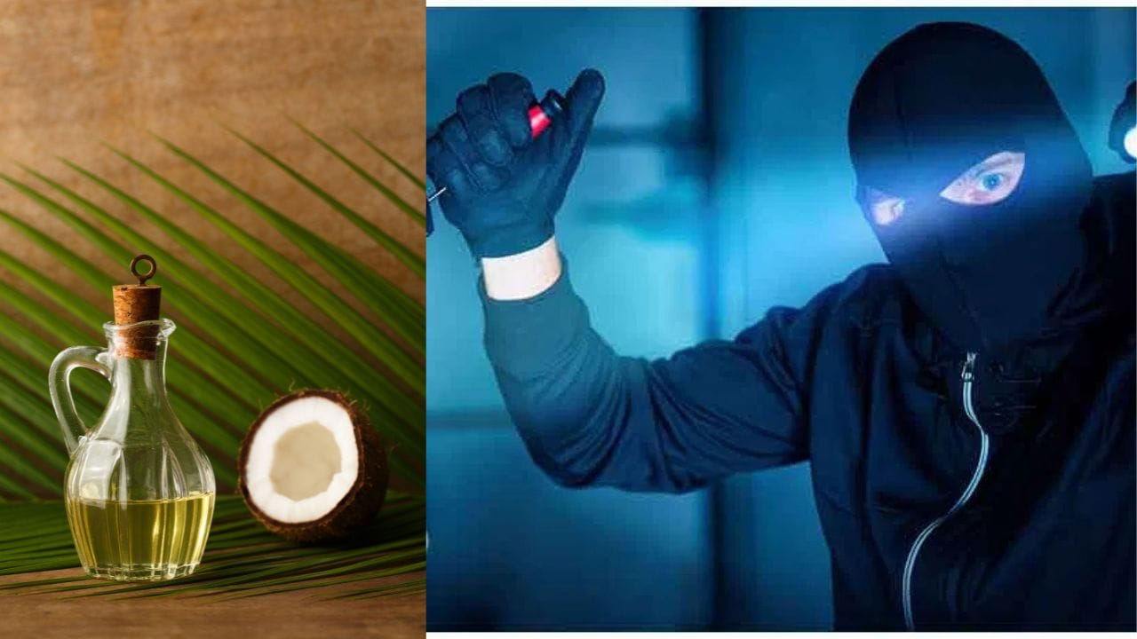 Coconut Oil Theft : തിരുവനന്തപുരത്ത് മാവേലിസ്റ്റോറിൽ നിന്ന് വെളിച്ചെണ്ണ മോഷണം