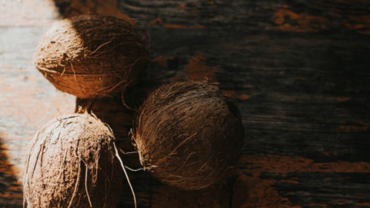 ചിരട്ടയുടെ കയറ്റുമതി കൂടിയതുമാണ് വില വർധനവിന്റെ പ്രധാന കാരണം. കൂടുതൽ നേരം കത്തും, പുക കുറവാണ് എന്നതും ചിരട്ടയെ വ്യാവസായിക സൗഹൃദമാക്കി മാറ്റുന്നുണ്ട്. ഇതെല്ലാം ചിരട്ടയ്ക്ക് പൊന്നിൻ വില നൽകുന്നു. (Image Credit: Getty Images)