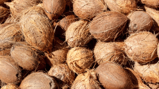 Sanju Samson: പ്രഖ്യാപിച്ച രീതിയിലടക്കം അശുഭ സൂചന; ഏഷ്യാ കപ്പില്‍ സഞ്ജുവിന്റെ സ്ഥാനം ബെഞ്ചിലോ?