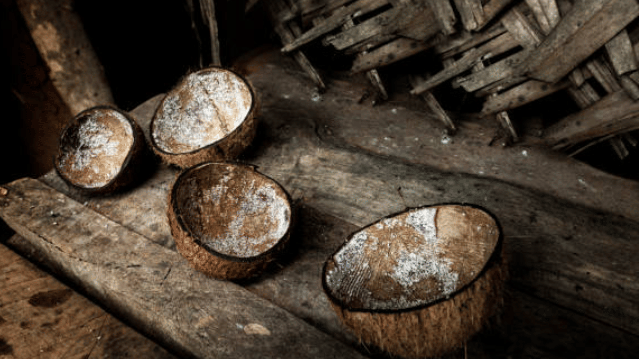 Coconut Shell Price: തേങ്ങക്ക് വില കുറഞ്ഞു, പക്ഷെ ചിരട്ടക്ക് വില കൂടുന്നോ?