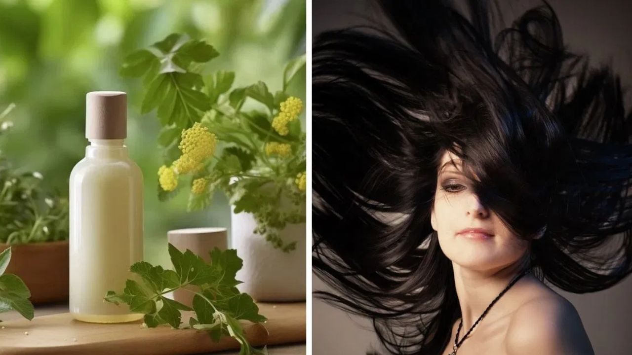 Organic shampoo: നെല്ലിക്കയും സോപ്പിൻ കായയും കൊണ്ടൊരു ഷാംപു, എളുപ്പത്തിൽ വീട്ടിൽ തയ്യാറാക്കാം