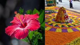 Onam 2025 Chothi: ചോതി നാളിൽ ചോരച്ചുവപ്പുള്ള പൂക്കൾ പൂക്കളത്തിൽ ഇടുന്നത് ഈ ദേവനെ പ്രീതിപ്പെടുത്താൻ… Onam 2025 Chothi: ചോതി നാളിൽ ചോരച്ചുവപ്പുള്ള പൂക്കൾ പൂക്കളത്തിൽ ഇടുന്നത് ഈ ദേവനെ പ്രീതിപ്പെടുത്താൻ…...