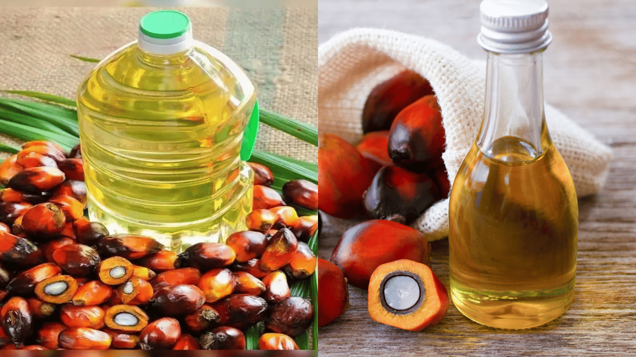 Palm Oil Price: പാം ഓയിൽ വില കുറയും, സുപ്രധാന നീക്കവുമായി ഇന്ത്യ Palm Oil Price: പാം ഓയിൽ വില കുറയും, സുപ്രധാന നീക്കവുമായി ഇന്ത്യ