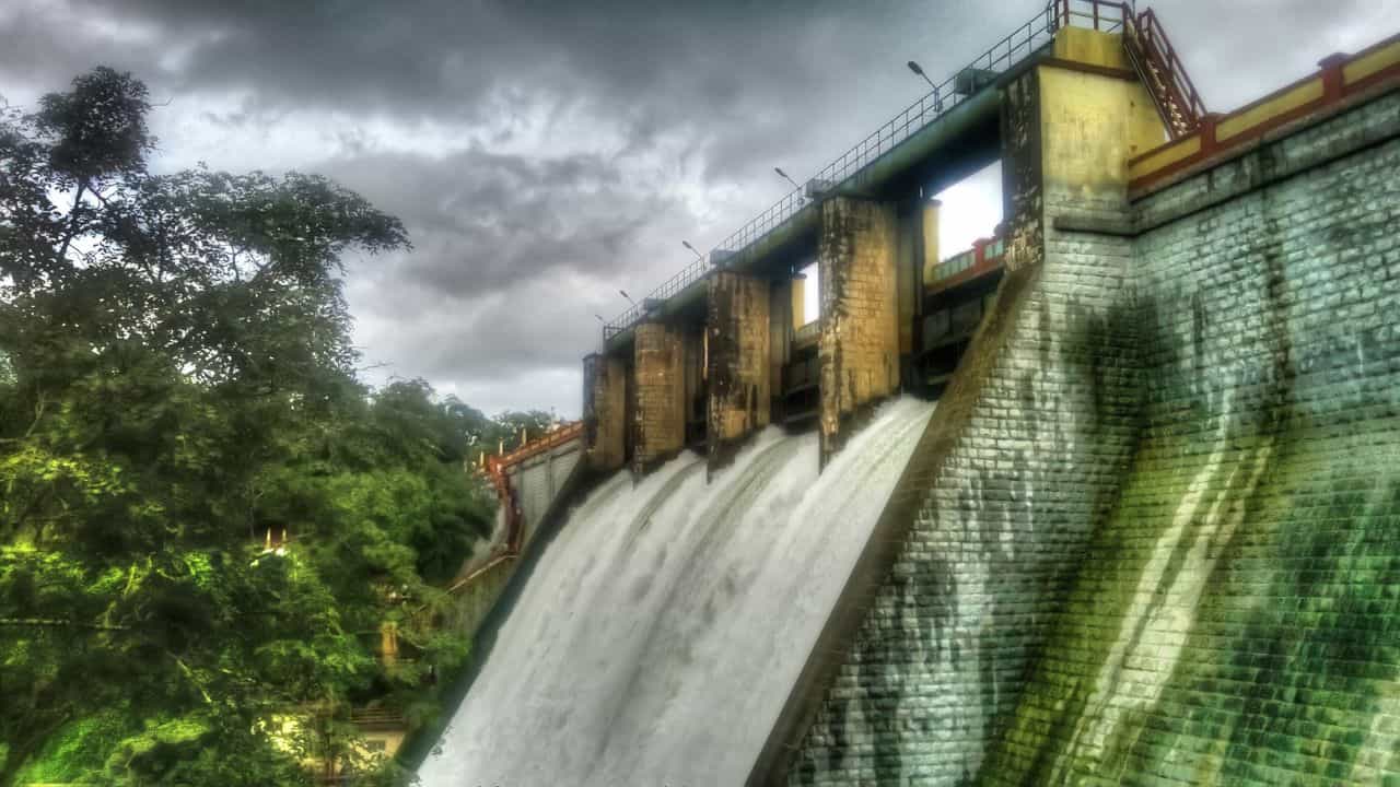 Peechi dam : ശക്തമായ മഴ; പീച്ചി ഡാമിന്റെ ഷട്ടറുകൾ ഉയർത്തും