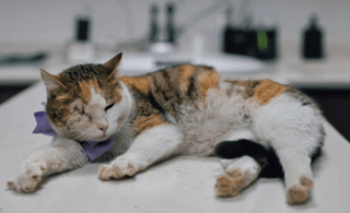 Onam Bumper 2025: ഷെയറിട്ടെടുത്തോ ഓണം ബമ്പര്‍? എങ്കില്‍ ഇക്കാര്യം എന്തായാലും അറിഞ്ഞിരിക്കണം