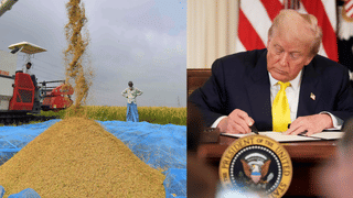 Indians Attacked in Ireland: അയർലൻഡിൽ ഇന്ത്യക്കാർക്ക് നേരെ ആക്രമണം; ആശങ്ക, പ്രതികരിച്ച് ഐറിഷ് എംബസി