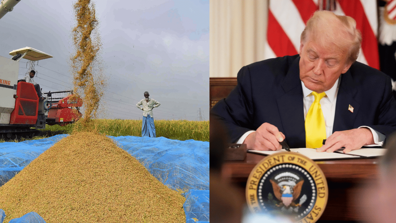 Donald Trump Tariff: ട്രംപ് പണികൊടുത്തു, അരിവില കുത്തനെ കൂട്ടി, യുഎസ്സിലെ ഇന്ത്യക്കാരുടെ അന്നം മുടങ്ങുമോ?