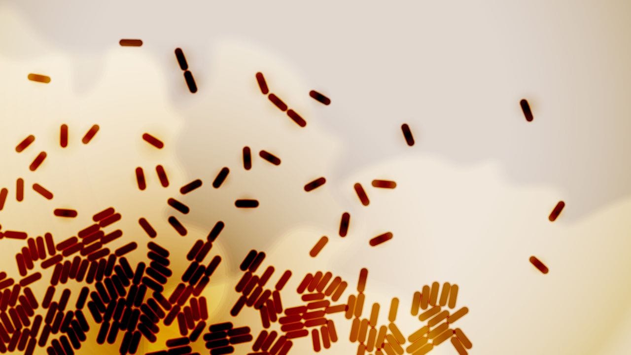 വൈറസുകളെ ജീവനുള്ള ജീവികളായി കണക്കാക്കില്ല. അവയ്ക്ക് സ്വന്തമായി പ്രത്യുത്പാദനം നടത്താൻ ഒരു ജീവനുള്ള കോശത്തെ (ഹോസ്റ്റ് സെൽ) ആശ്രയിക്കണം. എന്നാൽ, അമീബകളും ബാക്ടീരിയകളും സ്വന്തമായി പ്രത്യുത്പാദനം നടത്താൻ കഴിവുള്ള, ജീവനുള്ള ഏകകോശ ജീവികളാണ്.