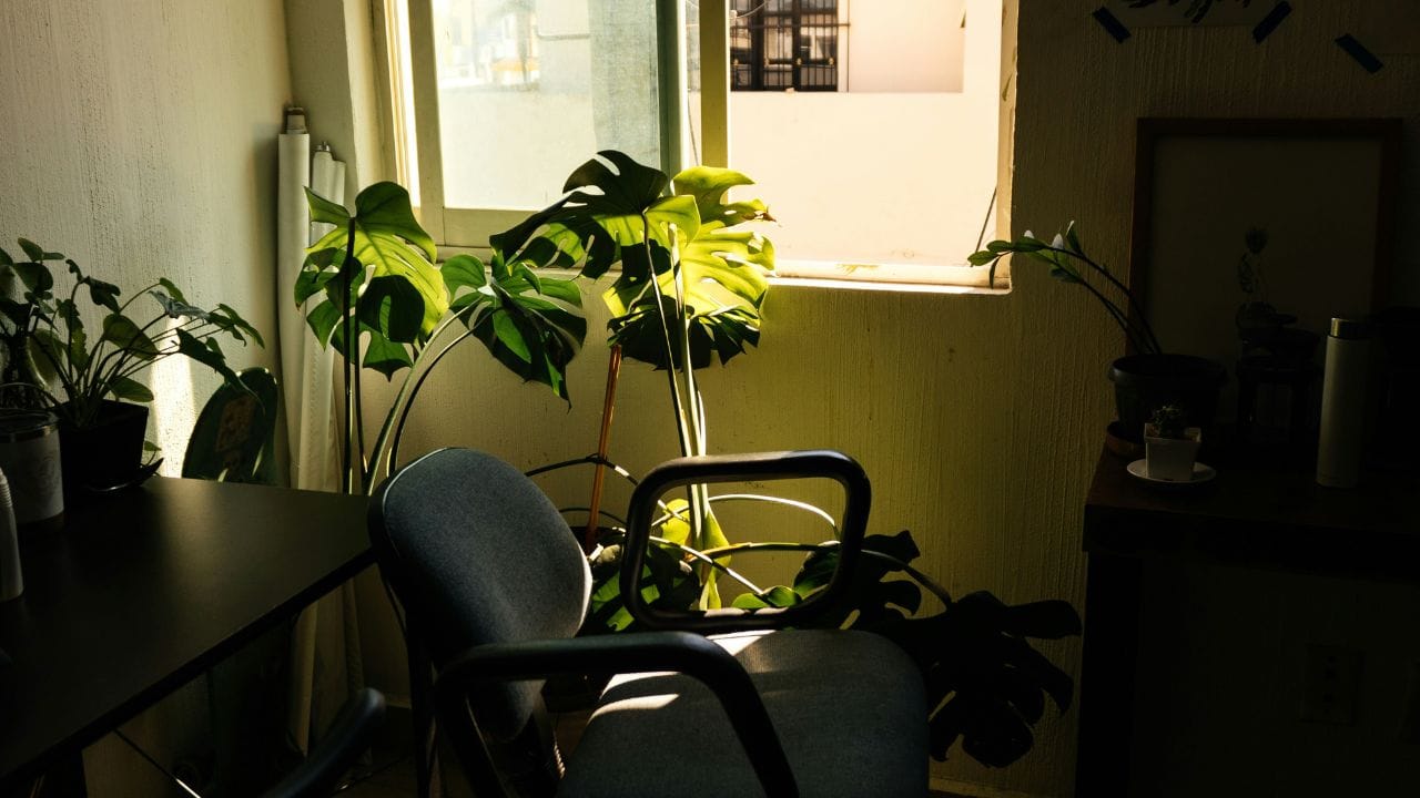 നല്ലൊരു കസേരയിൽ ഇരിക്കുന്നത് കഴുത്തിനും നടുവിനും ഉണ്ടാകുന്ന ആയാസം കുറയ്ക്കും. ഇത് ക്ഷീണം അകറ്റി കൂടുതൽ സമയം ശ്രദ്ധയോടെ ജോലി ചെയ്യാൻ സഹായിക്കും.