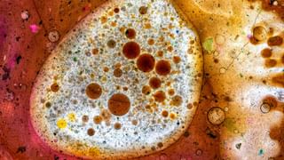 Asia Cup 2025: ‘ജഴ്സി അവകാശം സുഹൃത്തുക്കൾക്ക് നൽകുന്നു’; പാകിസ്താൻ ക്രിക്കറ്റിൽ അഴിമതിയാരോപണം