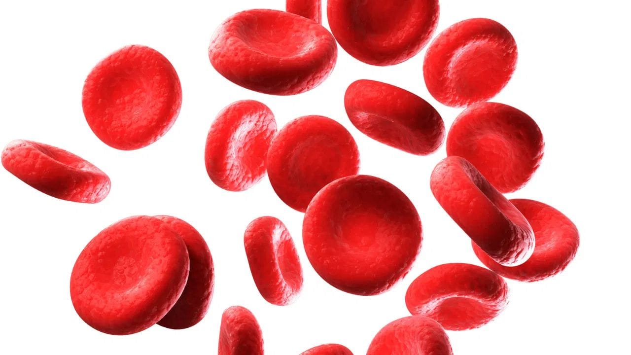 ലാബ് ടെക്‌നീഷ്യൻ കൈത്തണ്ടയിലെ സിരയിൽ നിന്ന് രക്തസാമ്പിൾ ശേഖരിച്ച് പരിശോധനയ്ക്കായി ലാബിലേക്ക് അയയ്ക്കുന്നു. ഈ ലളിതമായ പ്രക്രിയയിലൂടെ, രക്തത്തിൽ എന്തെങ്കിലും പ്രശ്‌നങ്ങളുണ്ടോ എന്ന് കണ്ടെത്താൻ കഴിയും.