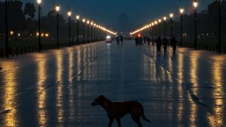 Arya Badai: ‘കൊടുത്തതിലും കൂടുതൽ സ്വർണവും കാശും മേടിച്ച് തരാമെന്ന് അഡ്വക്കേറ്റ് പറഞ്ഞു; ഒടുവില്‍ കുറ്റബോധം തോന്നി’; തുറന്നുപറഞ്ഞ് ആര്യ