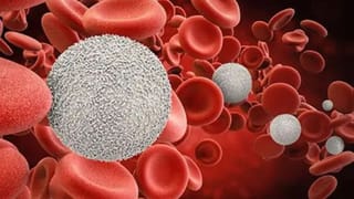 Mitchell Starc: ടി20യില്‍ ഇനി സ്റ്റാര്‍ക്കിന്റെ യോര്‍ക്കറുകളില്ല, അപ്രതീക്ഷിത വിരമിക്കല്‍ പ്രഖ്യാപനം