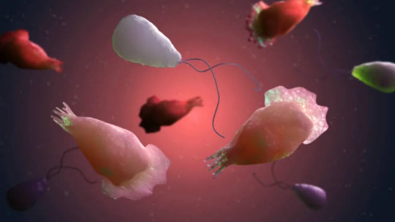 വൈറസുകളും രോഗകാരികളായ ബാക്ടീരിയകളും ശരീരത്തിലെ കോശങ്ങൾക്കുള്ളിൽ പെരുകിയാണ് രോഗമുണ്ടാക്കുന്നത്. എന്നാൽ, അമീബിക് മസ്തിഷ്കജ്വരത്തിന് കാരണമാകുന്ന Naegleria fowleri എന്ന അമീബ, വായുവിലൂടെയോ വെള്ളം കുടിക്കുന്നതിലൂടെയോ അല്ല പകരുന്നത്. പകരം, മലിനമായ വെള്ളം മൂക്കിലൂടെ നേരിട്ട് ശരീരത്തിൽ പ്രവേശിക്കുമ്പോൾ അത് തലച്ചോറിലേക്ക് എത്തുന്നു.