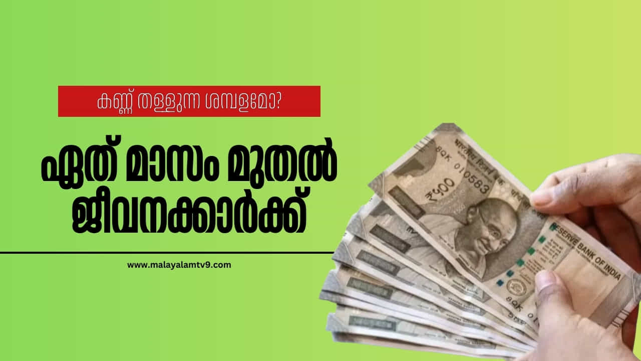 8th Pay Commission: കണ്ണ് തള്ളുന്ന ശമ്പളമോ? ; ഏത് മാസം മുതൽ ജീവനക്കാർക്ക്