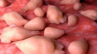 Asia Cup 2025: ഗ്രൂപ്പ് ഘട്ടത്തിലെ അവസാന പോരിന് ഇന്ത്യ, ഒമാനെതിരെ മാറ്റങ്ങള്‍ക്ക് സാധ്യത