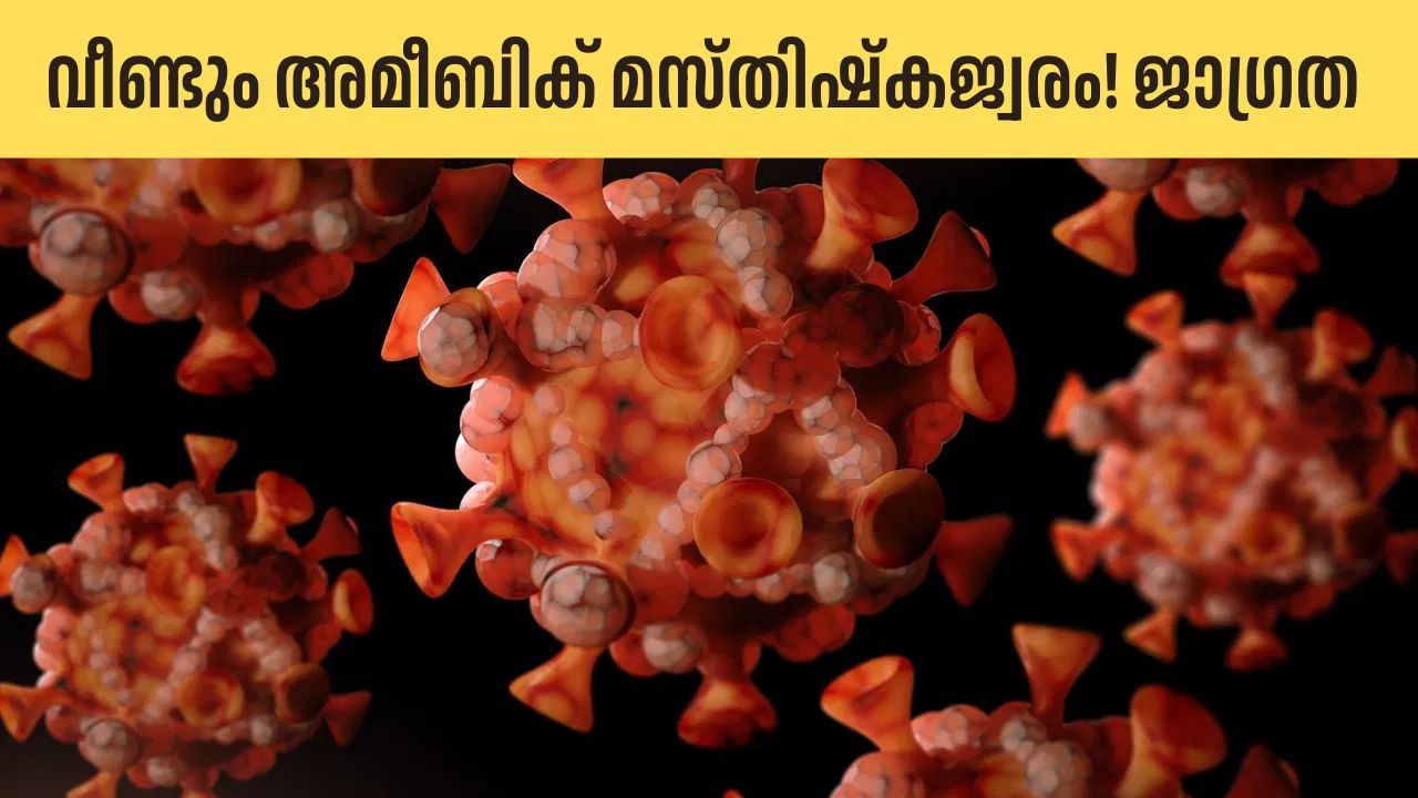 Amoebic Meningoencephalitis: ജാ​ഗ്രത! സംസ്ഥാനത്ത് വീണ്ടും അമീബിക് മസ്തിഷ്കജ്വരം; രോഗം സ്ഥിരീകരിച്ചത് 13കാരന്