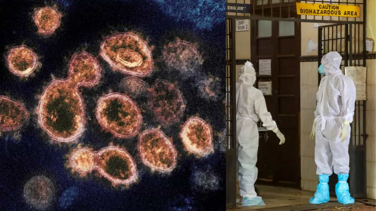 Amoebic Meningoencephalitis: വീണ്ടും ജീവനെടുത്ത് അമീബിക് മസ്തിഷ്കജ്വരം: മരിച്ചത് മൂന്ന് മാസം പ്രായമുള്ള കുഞ്ഞും മധ്യവയസ്കയും