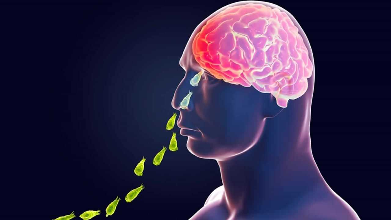 Amoebic Meningoencephalitis: അമീബിക് മസ്തിഷ്‌ക ജ്വരം: അന്തരീക്ഷത്തിലും അമീബയുടെ സാന്നിധ്യം കണ്ടെത്തി