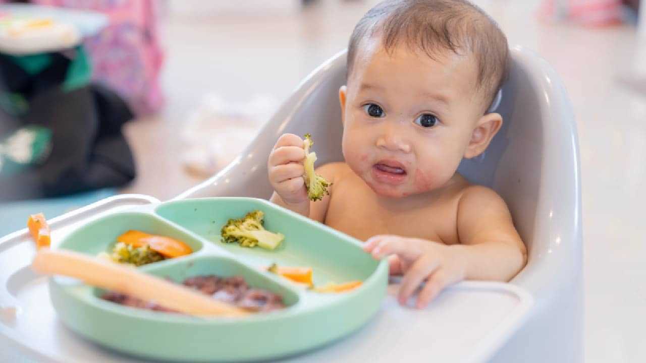 Baby Feeding Tips : ‘ഒരു വയസ്സു വരെ മുട്ടയുടെ മഞ്ഞ മാത്രം’; കുഞ്ഞുങ്ങള്ക്ക് ഭക്ഷണം കൊടുക്കുമ്പോൾ ഇക്കാര്യങ്ങൾ ശ്രദ്ധിക്കൂ Baby Feeding Tips : ‘ഒരു വയസ്സു വരെ മുട്ടയുടെ മഞ്ഞ മാത്രം’; കുഞ്ഞുങ്ങള്ക്ക് ഭക്ഷണം കൊടുക്കുമ്പോൾ ഇക്കാര്യങ്ങൾ ശ്രദ്ധിക്കൂ