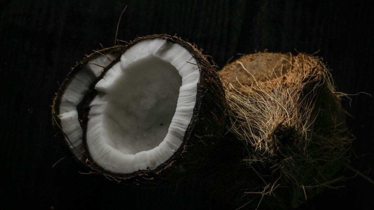 പൊട്ടിച്ച തേങ്ങയാണെങ്കിൽ ഉപയോഗിച്ചതിന് ശേഷം ബാക്കി ഫ്രിഡ്ജിൽ തന്നെ സൂക്ഷിക്കാവുന്നതാണ്. ഇത് പെട്ടെന്ന് കേടാകാതിരിക്കാൻ സഹായിക്കും. അതേസമയം, പൊട്ടിക്കാത്ത തേങ്ങ ഫ്രിഡ്ജിൽ സൂക്ഷിക്കാതിരിക്കുന്നതാണ് നല്ലത്. അല്ലാത്തപക്ഷം ഇവയുടെ രുചിയും ഗുണവും കുറയാൻ സാധ്യതയേറെയാണ്. (Image Credits: Pexels)
