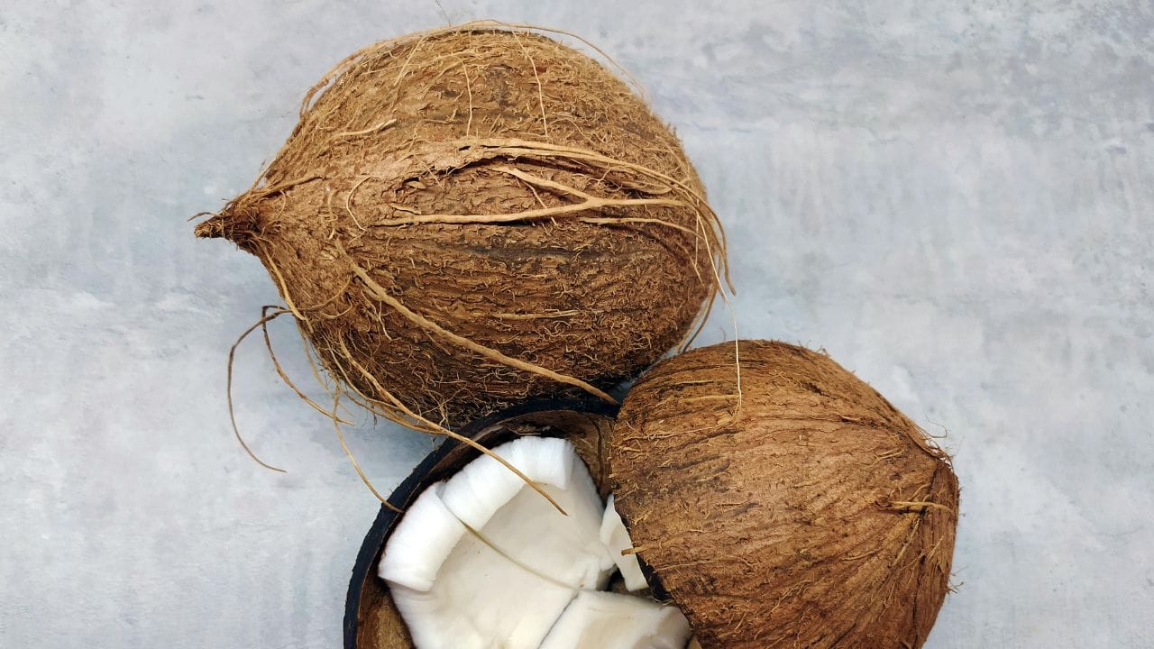 തേങ്ങ വേണമെങ്കിൽ ഉണക്കിയും സൂക്ഷിക്കാം. അതിനായി തേങ്ങ അരച്ചെടുത്ത ശേഷം ഒരു പരന്ന പാത്രത്തിൽ വയ്ക്കുക. തുടർന്ന് ഒരു പാൻ ചൂടാക്കി അതിന് മുകളിൽ ഈ പാത്രം വെച്ചുകൊടുക്കുക. തേങ്ങയുടെ ഈർപ്പമെല്ലാം പോയി പൂർണമായും ഉണങ്ങിയെന്ന് ഉറപ്പുവരുത്തിയതിന് ശേഷം വായുകടക്കാത്ത പാത്രത്തിൽ ഇട്ടുവയ്ക്കാം. (Image Credits: Pexels)
