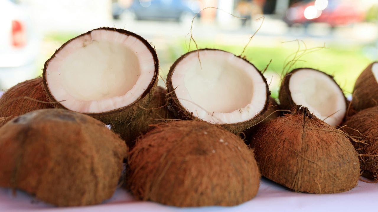 മിക്ക കറികളിലും തേങ്ങ ചേർക്കുന്നവരാണ് മലയാളികൾ. എന്നാൽ, തേങ്ങ ഫ്രഷായി സൂക്ഷിക്കുക എന്നത് വലിയൊരു വെല്ലുവിളിയാണ്. അതിനാൽ, കേടുകൂടാതെ ദിവസങ്ങളോളം നാളികേരം എങ്ങനെ സൂക്ഷിക്കാമെന്ന് നോക്കാം. (Image Credits: Pexels)