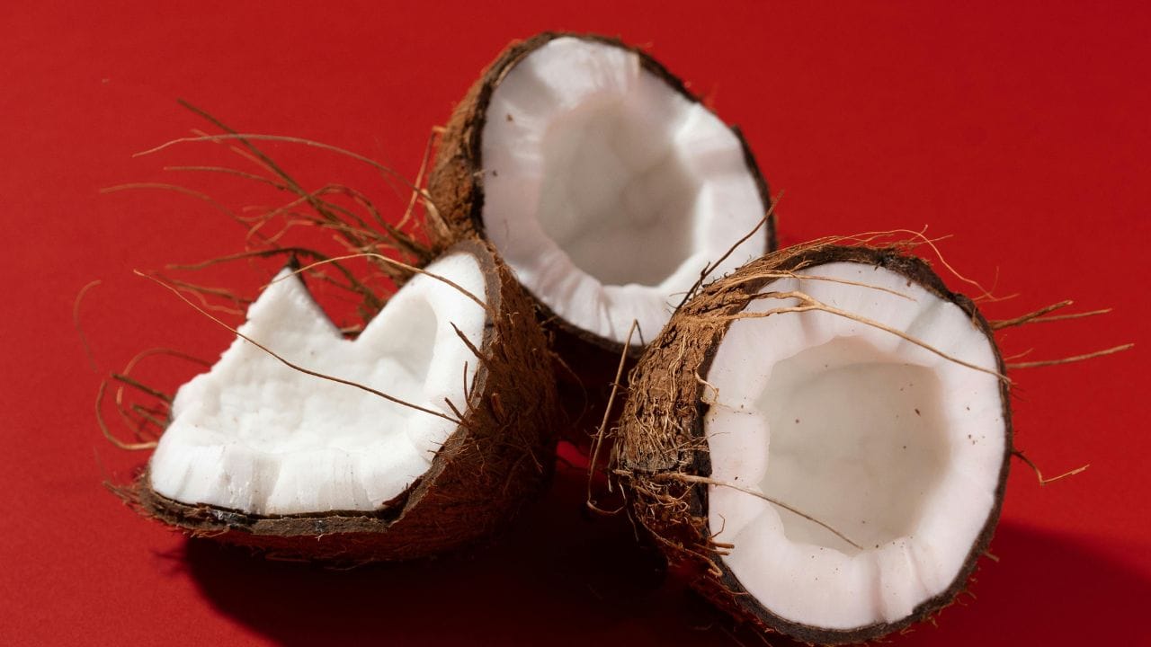 തേങ്ങാ പാലാണെങ്കിൽ, വായുകടക്കാത്ത പാത്രത്തിൽ സൂക്ഷിച്ചാൽ മൂന്ന് മുതൽ നാല് ദിവസം വരെ കേടാകാതിരിക്കും. ഇനി ഐസ് ട്രേകളിൽ ഒഴിച്ച് ഫ്രീസ് ചെയ്ത ശേഷം ഫ്രീസർ ബാഗിൽ സൂക്ഷിക്കുകയാണെങ്കിൽ, ഇത് മൂന്ന് മാസം വരെ കേടാകാതിരിക്കും. (Image Credits: Pexels)
