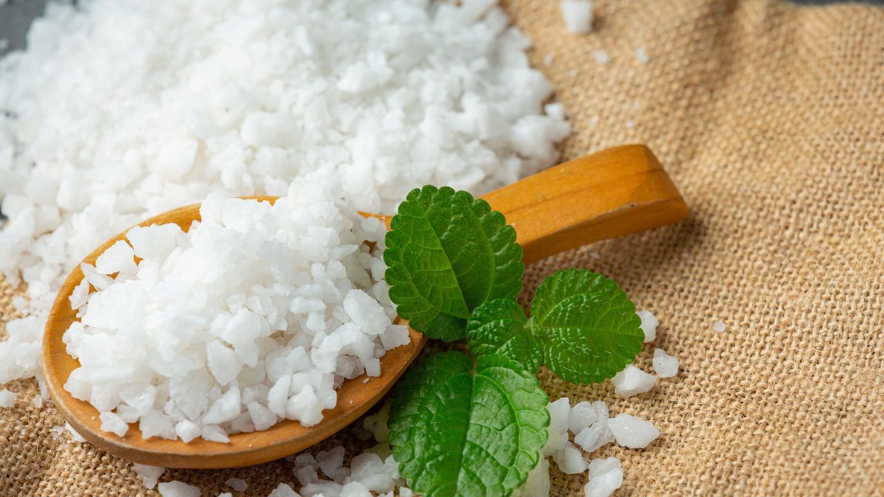 കർപ്പൂരം വെളിച്ചെണ്ണയിൽ ചേർത്ത് തലയോട്ടിയിൽ പുരട്ടുന്നതും പേൻ ശല്യം കുറയ്ക്കാൻ സഹായിക്കും. കർപ്പൂരത്തിന്റെ സുഗന്ധം പേൻ പോലുള്ള പാരസൈറ്റുകളെ തുരത്താൻ ഗുണം ചെയ്യുന്നു. (Image Credits: Freepik)