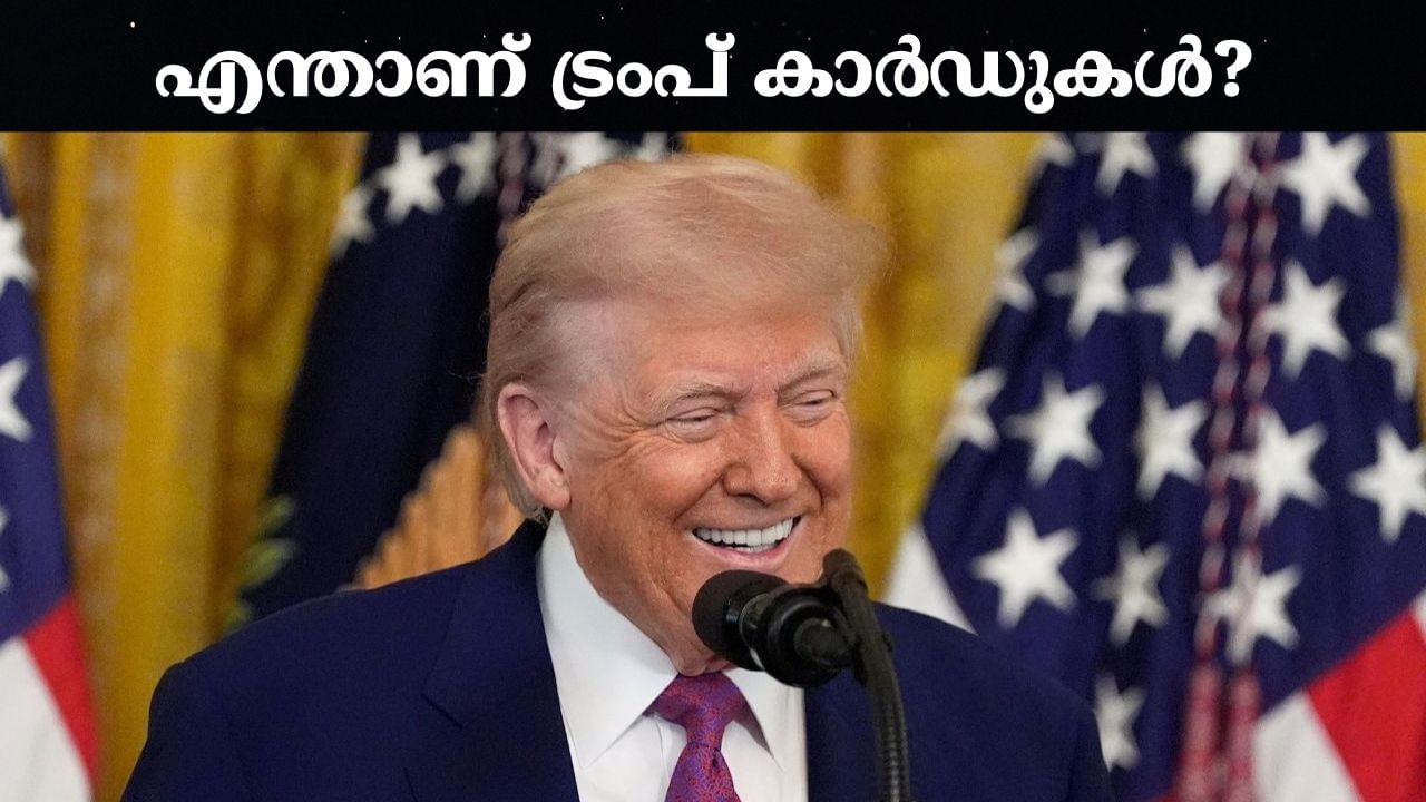 H1B Visa: എച്ച്1ബി വിസ ഫീസ് ഉയര്‍ത്തി; എന്താണ് ഗോള്‍ഡ്, പ്ലാറ്റിനം, കോര്‍പ്പറേറ്റ് ഗോള്‍ഡ് കാര്‍ഡുകള്‍?