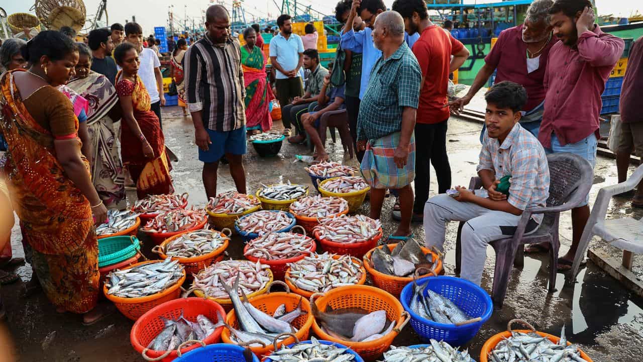 Fish smell removing : കയ്യിലെ മീൻമണം മാറ്റണോ എളുപ്പത്തിൽ... വഴികൾ അടുക്കളയിൽ ഉണ്ട് Fish smell removing : കയ്യിലെ മീൻമണം മാറ്റണോ എളുപ്പത്തിൽ... വഴികൾ അടുക്കളയിൽ ഉണ്ട്