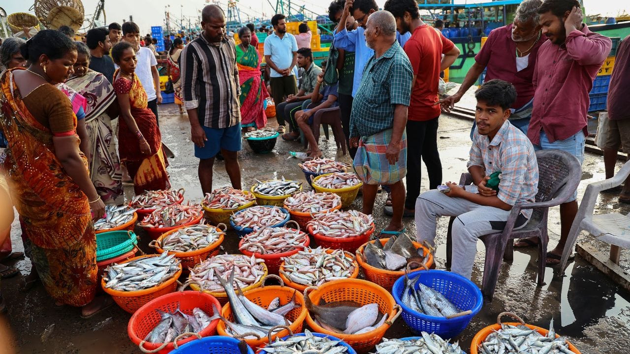Fish smell removing : കയ്യിലെ മീൻമണം മാറ്റണോ എളുപ്പത്തിൽ… വഴികൾ അടുക്കളയിൽ ഉണ്ട്