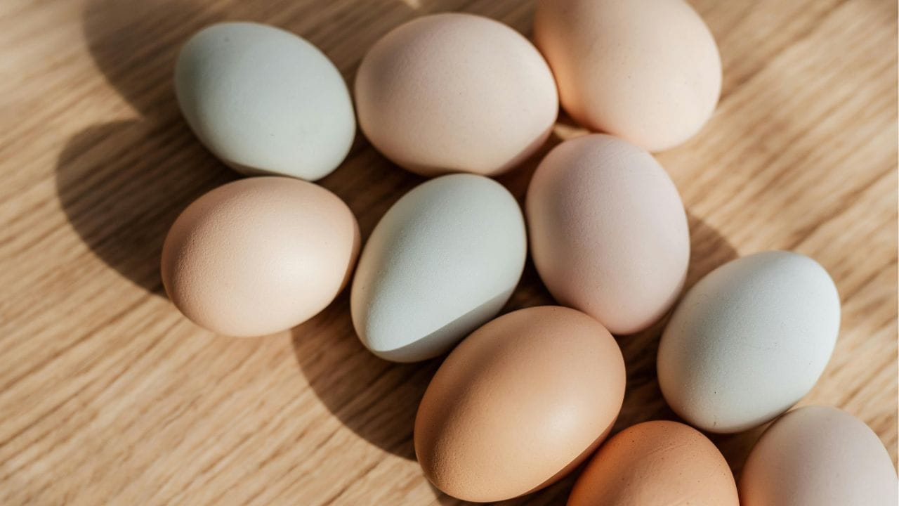 ഫ്രിഡ്ജിന്റെ ഡോറിൽ മുട്ട വയ്ക്കുന്നതും അത്ര നല്ലതല്ല. ഫ്രിഡ്ജ് ഇടയ്ക്കിടെ തുറക്കുമ്പോള്‍ ഉണ്ടാകുന്ന താപനിലയിലെ വ്യത്യാസം കാരണം ബാക്ടീരിയയുടെ വളര്‍ച്ച വർധിക്കുകയും ഭക്ഷ്യജന്യ രോഗങ്ങള്‍ക്ക് കാരണമാവുകയും ചെയ്യുന്നു. (Image Credits: Pexels)
