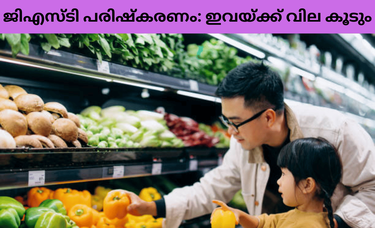GST 2.0: നാളെ മുതൽ വില കൂടുന്നത് ഇവയ്ക്കെല്ലാം, ശ്രദ്ധിച്ചോണേ….