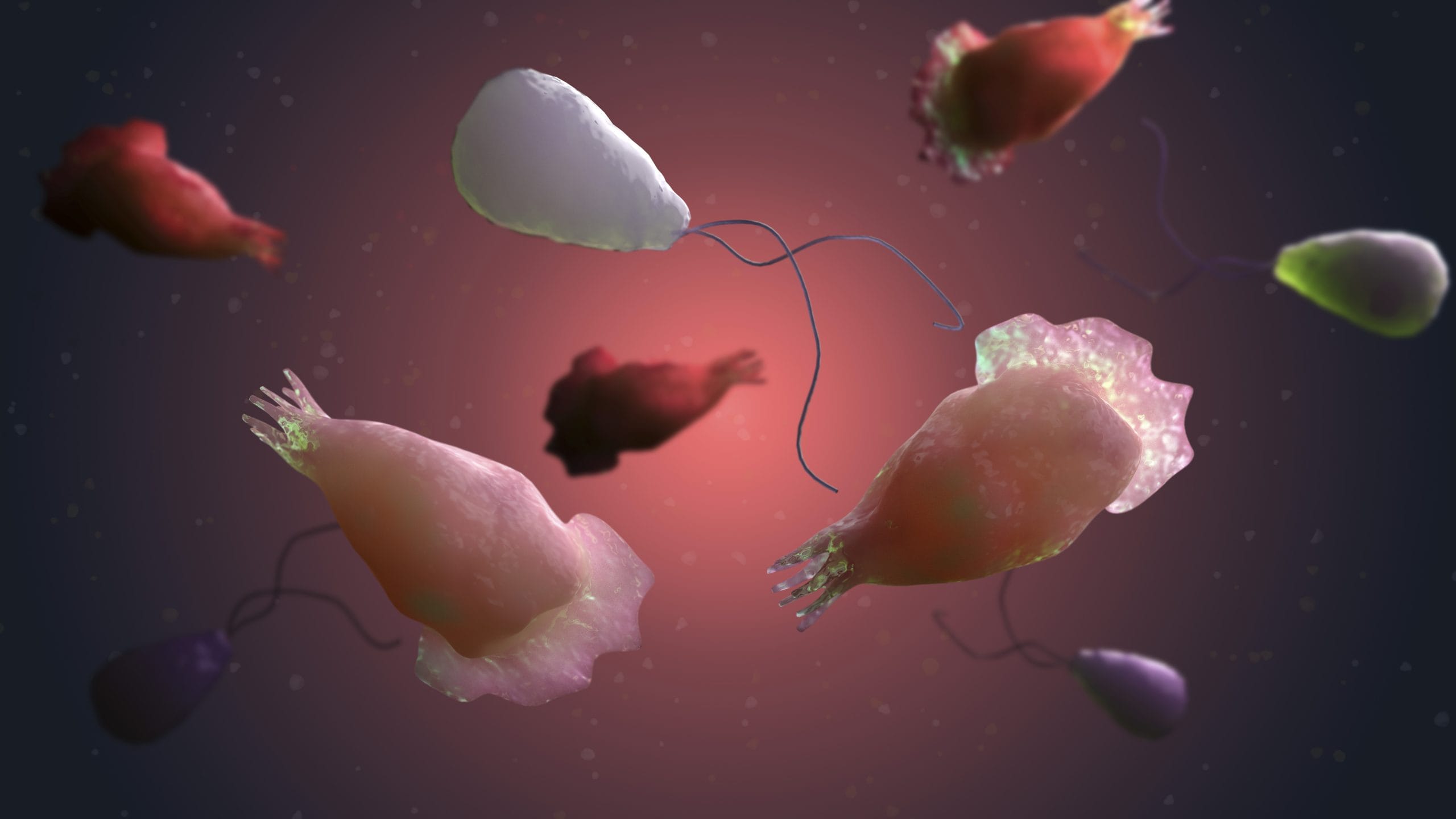 കുട്ടികളെ കുളിപ്പിക്കാൻ ഇളംചൂടുവെള്ളം തയാറാക്കുമ്പോൾ അതിലേക്ക് പച്ചവെള്ളം ചേർക്കുന്നതിന് പകരം തിളച്ചാറിയ വെള്ളം തന്നെ ഉപയോ​ഗിക്കുക.  ചൂടുവെള്ളത്തിൽ കുളിച്ചാൽ അമീബിക് മസ്തിഷ്‌ക ജ്വരത്തെ അകറ്റി നിർത്താമെന്നതിന് ശാസ്ത്രീയ തെളിവുകളില്ല. എങ്കിലും ജാ​ഗ്രതയെന്നോണം പനിയുള്ളവർക്കും രോ​ഗം പടരാൻ സാധ്യതയുള്ള ജലസ്രോതസുകളിൽ നിന്ന് വെള്ളമെടുക്കുന്നവർക്കും ഇത് ശീലമാക്കാം. (Image Credits: Getty Images)
