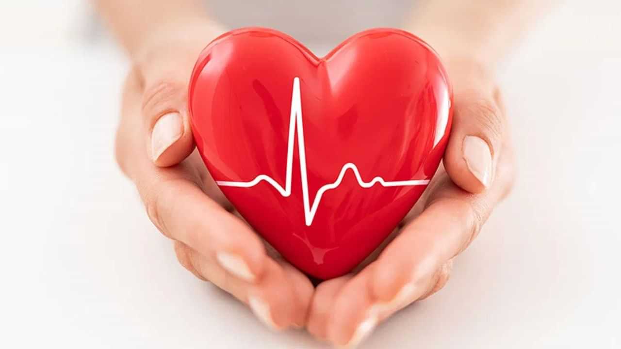 Blood pressure management: മരണത്തിലേക്കുള്ള ദൂരം കുറയ്ക്കാൻ രക്തസമ്മർദ്ദത്തെ വരുതിയിലാക്കാം... പുതിയ മാർഗ നിർദ്ദേശങ്ങൾ ഇവ Blood pressure management: മരണത്തിലേക്കുള്ള ദൂരം കുറയ്ക്കാൻ രക്തസമ്മർദ്ദത്തെ വരുതിയിലാക്കാം... പുതിയ മാർഗ നിർദ്ദേശങ്ങൾ ഇവ