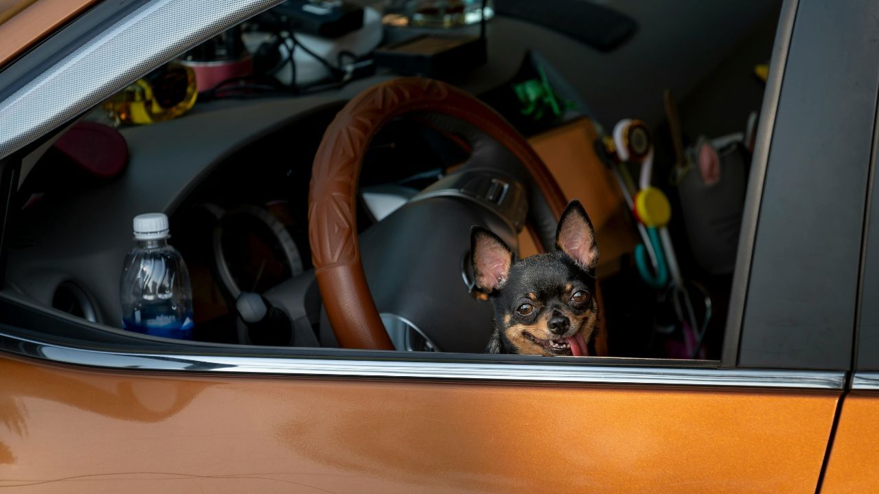 ഒരു തവണ കുടിച്ച വെള്ളം ഏറെ നാൾ സൂക്ഷിച്ച ശേഷം വീണ്ടും കുടിക്കുമ്പോൾ അത് ബാക്ടീരിയ വളര്‍ച്ചയ്ക്ക് കാരണമാകും. ശരീരത്തിൽ ജലാംശം നിലനിര്‍ത്തേണ്ടത് അത്യാവശ്യമാണെങ്കിലും ഇത്തരത്തിൽ ദീർഘനാൾ സൂക്ഷിച്ച വെള്ളം കുടിക്കാതിരിക്കാൻ ശ്രദ്ധിക്കുക. (Image Credits: Pexels)