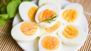 Bigg Boss Malayalam 7: ‘കൊടുത്താൽ കൊല്ലത്തും കിട്ടി’; ബിഗ്ഗ്‌ബോസിൽ നിന്നും പുറത്തായ മസ്താനിയുടെ ആദ്യ പ്രതികരണം!