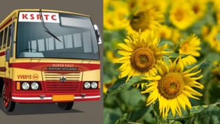 Thiruvananthapuram Onam: പൂരം കൊടിയേറി മക്കളേ… അനന്തപുരി ഇനി ദീപങ്ങളുടെ ന​ഗരം; ലൈറ്റ് കാണാൻ പോയാലോ