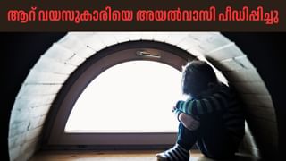 Sabarimala: സ്വര്‍ണപ്പാളികള്‍ സന്നിധാനത്ത് തിരിച്ചെത്തിച്ചു; കോടതി അനുമതി കിട്ടും വരെ സ്ട്രോങ്റൂമിൽ