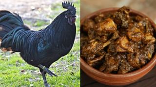 Weight Loss Salad: ശരീരഭാരം നിയന്ത്രിക്കും, ആരോഗ്യം സംരക്ഷിക്കും, ഈ സാലഡ് ട്രൈ ചെയ്തു നോക്കൂ