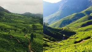 Movie Location: മലയാള സിനിമകളെ സുന്ദരമാക്കിയ സ്ഥലങ്ങൾ; ഒരിക്കലെങ്കിലും കാണണം