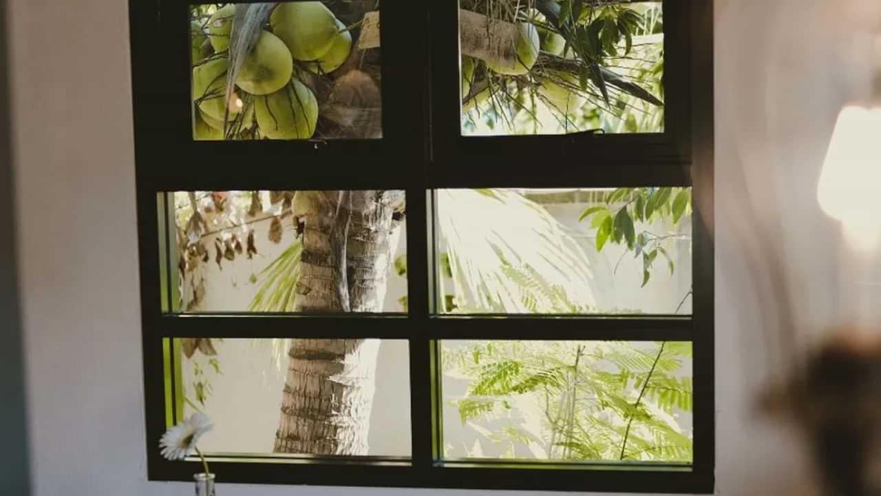 Malayalam Vastu Tips: വീട്ടിൽ തെങ്ങ് വെക്കേണ്ടത് എവിടെ? അറിയേണ്ട വാസ്തു നിയമങ്ങൾ Malayalam Vastu Tips: വീട്ടിൽ തെങ്ങ് വെക്കേണ്ടത് എവിടെ? അറിയേണ്ട വാസ്തു നിയമങ്ങൾ