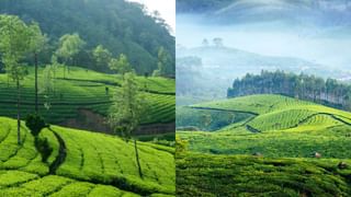 Kollengode: കൊല്ലങ്കോട് കാണാൻ ഒരുപാടുണ്ട്; വേഗം വീട്ടോളൂ, കാത്തിരിക്കുന്നത് അതിശയകരമായ ഗ്രാമം