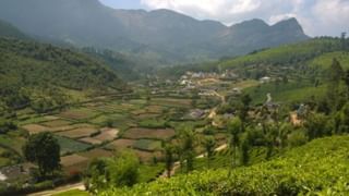 Wayanad Gramavandi: വയനാട് കാണാൻ ഗ്രാമവണ്ടിയിൽ കയറണം; അറിയാം ഈ യാത്രയെക്കുറിച്ച്