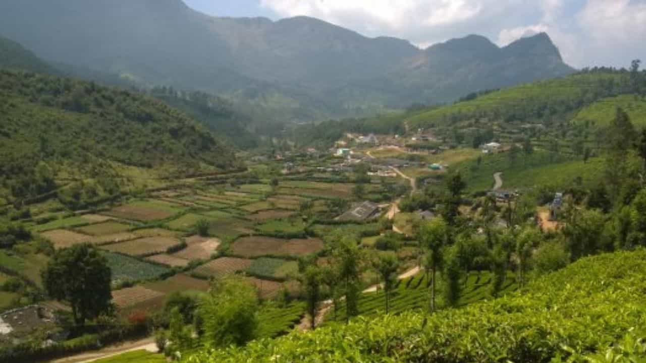Munnar Yellapetty: ഈ ​ഗ്രാമമാണ് യതാർത്ഥ സ്വർ​ഗം; യെല്ലപ്പെട്ടി കാണാൻ പോയാലോ