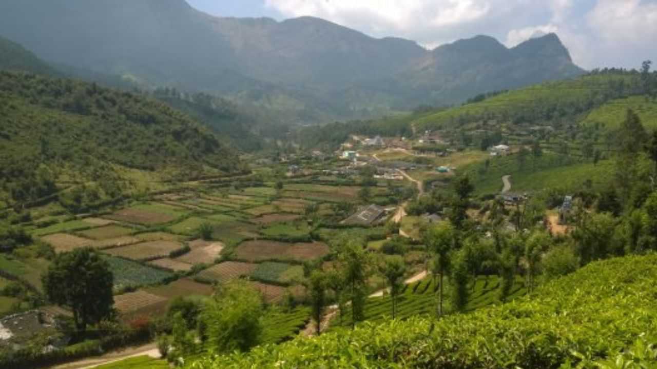 Munnar Yellapetty: ഈ ​ഗ്രാമമാണ് യതാർത്ഥ സ്വർ​ഗം; യെല്ലപ്പെട്ടി കാണാൻ പോയാലോ
