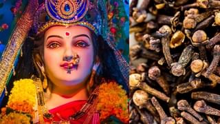 Navratri 2025 Day 6: സര്‍വ്വദോഷ പരിഹാരത്തിനും ഇഷ്ടമാംഗല്യത്തിനും കാത്യായനി ഭാവം; നവരാത്രിയുടെ ആറാം നാള്‍ ഇങ്ങനെ ആരാധിക്കാം